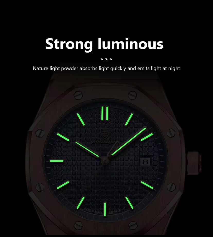 POEDAGAR Luxury Business Quartz Watch – Day & Date, Luminous, Waterproof Stainless Steel